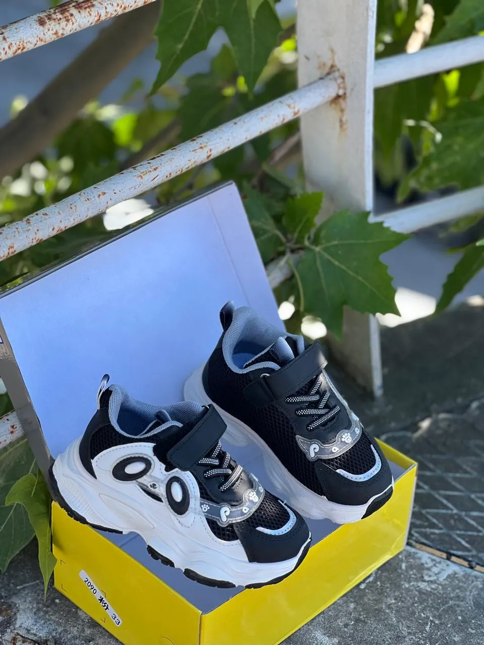 Shoe View