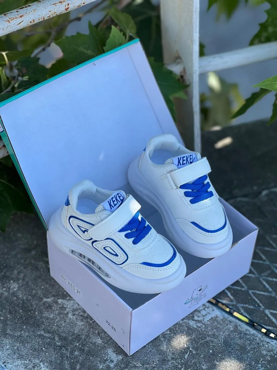 Shoe View