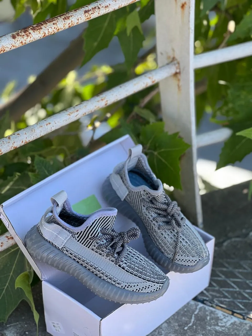 Shoe View