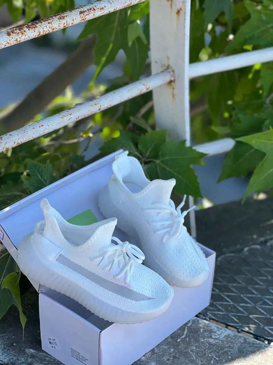 Shoe View