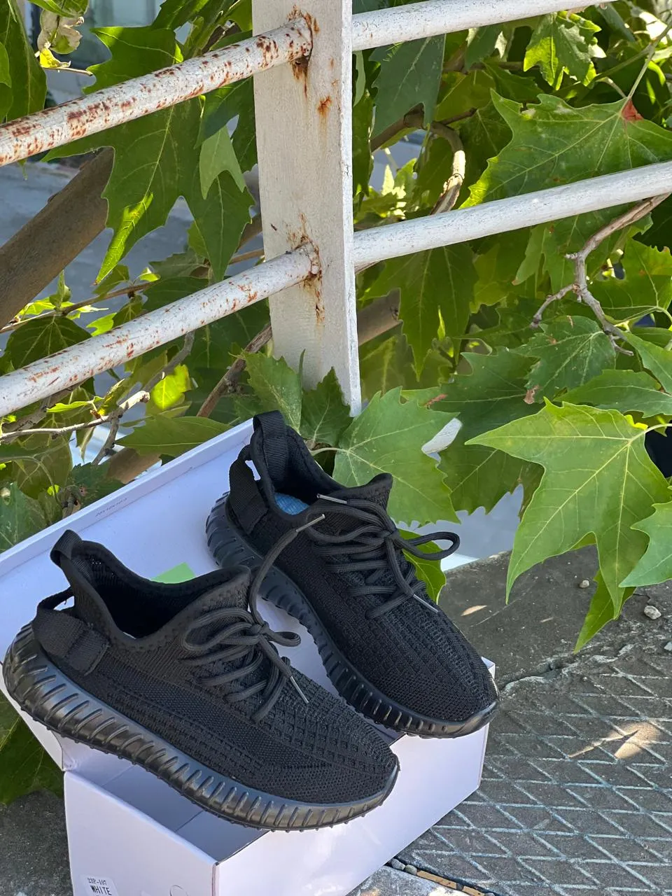 Shoe View